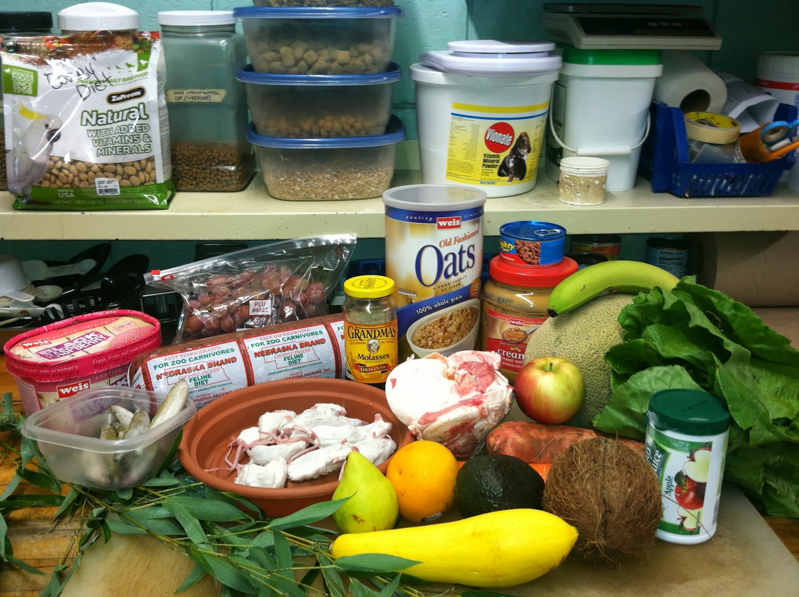 What Do Zoo Animals Eat? A Comprehensive Guide to Zoo Animal Diets